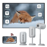 Vente chaude en gros Android 9 TS-6 240Ansi Lumens 720P Vidéo 4k Android Smart BT5.0 Double Wi-fi Hises 352 Projecteur
