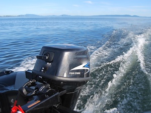 Moteur de pêche 15 CV 4 temps (15 HP) à vendre - Product Image 5
