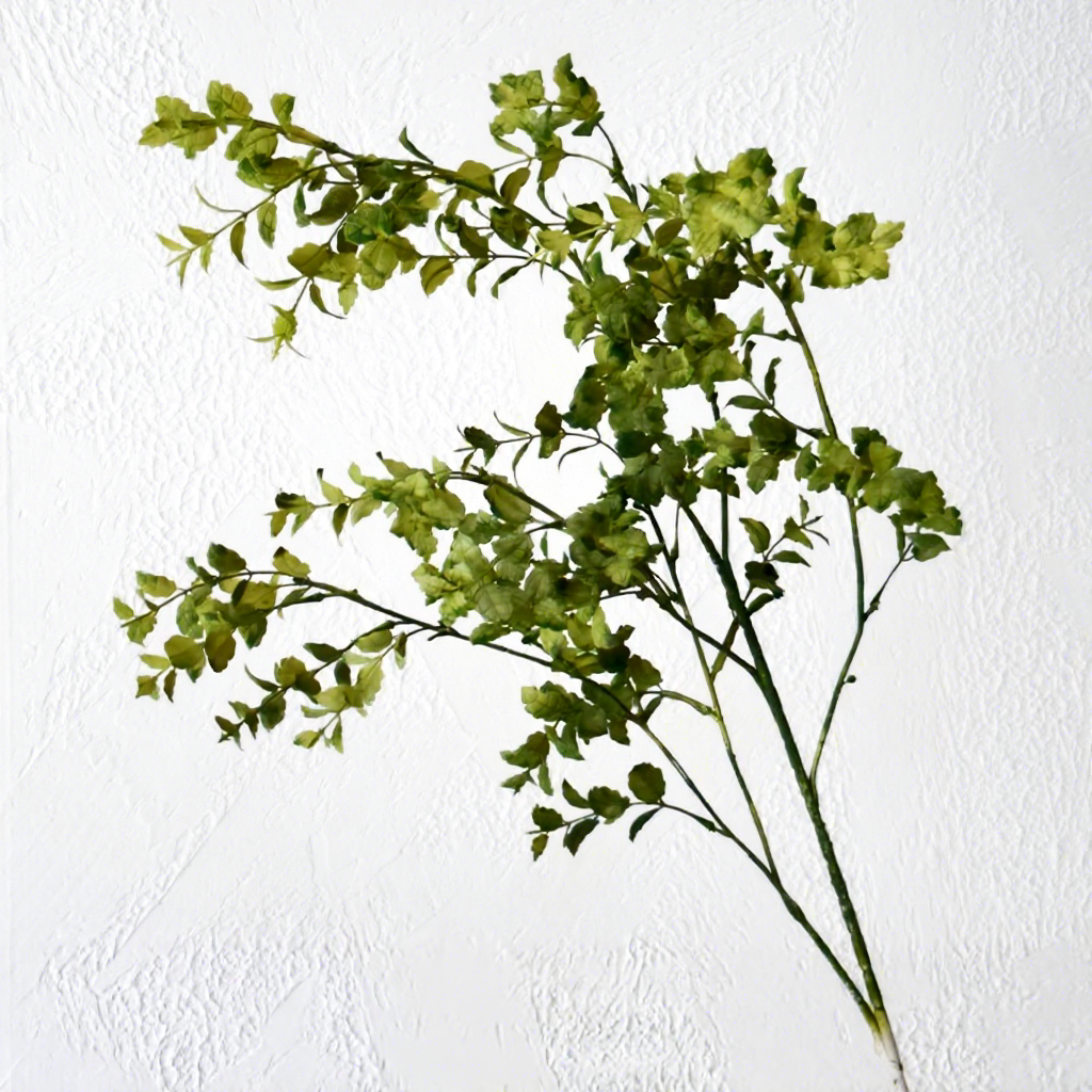 [18]Feuilles de menthe verte