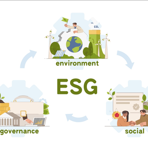 Servicio de Control de Calidad y Auditoría de Fábrica de Muebles de Oficina de Terceros para Amazon FBA, Inspección de Calidad Completa - Product Image 5