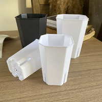 Mini pot de fleurs octogonal transparent en résine, à ouverture latérale, résistant au vieillissement, pour plantes succulentes de jardin