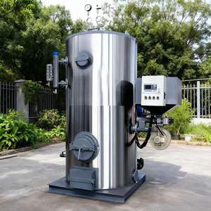 מחולל קיטור ביולוגי מסדרת LZF, דוד ביומסה, קיבולת 0.2/0.3/0.5/0.7 טון/שעה - Product Image 2