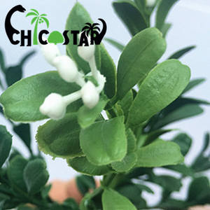 Usine vendre directement résistant aux UV et ignifuge en plastique verdure feuille plantes artificielles riz fleur d'<span class=keywords><strong>orchidée</strong></span> pour la décoration - Product Image 3