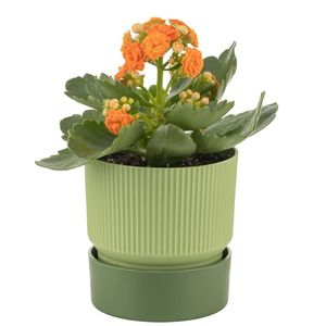 Ixora 9ถาดกระถางดอกไม้พลาสติกรีไซเคิลที่ทันสมัยสำหรับตกแต่งในร่มและกลางแจ้งสวนระเบียงลานบ้าน - Product Image 2