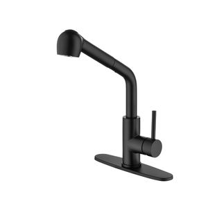 Robinet de cuisine monocommande avec douchette extractible en acier inoxydable pour usage domestique - Product Image 1