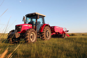 Massy ferguson tractor 290 utilizado - Product Image 6