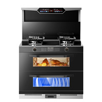Cuisinière intégrée double brûleur à commande tactile en acier inoxydable avec hotte aspirante intégrée, allumage électronique, gaz naturel GPL