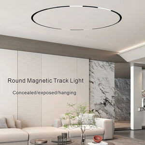 PNY Haute Qualité DC48V Arc Circulaire Piste Magnétique Encastré Plafond Rail Projecteur Moderne LED Luminaires pour Restaurant - Product Image 1