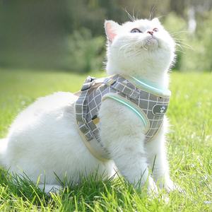 Imbracatura e guinzaglio traspirante riflettente per cani - Product Image 5