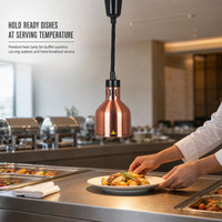Lampe chauffante suspendue commerciale pour le maintien au chaud des aliments dans les hôtels, restaurants, buffets et stations de découpe, avec ampoule incluse