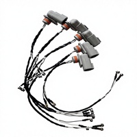 Original Injector Harness Assembly 5566363 for China VI L9NS6B360/400 Series Engine OLIVER