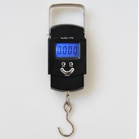 Balance électronique numérique à LED pour bagages, 50kg, 100g, valise avec lampe torche, format poche, voyage