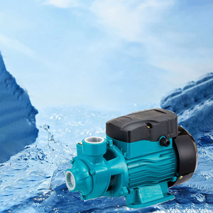 QB60 pompes <span class=keywords><strong>à</strong></span> <span class=keywords><strong>eau</strong></span> 60HZ 110V <span class=keywords><strong>220V</strong></span> double tension Bomba de agua 1/2HP AC électrique périphérique centrifuge <span class=keywords><strong>petite</strong></span> <span class=keywords><strong>pompe</strong></span> <span class=keywords><strong>à</strong></span> <span class=keywords><strong>eau</strong></span> Vortex - Product Image 4
