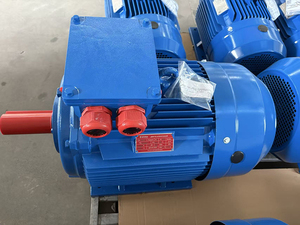 มอเตอร์อะซิงโครนัสแบบเฟสเดียวและสามเฟสมาตรฐานรัสเซีย CMN 208-220-240V TENV กันน้ำ รับประกัน 3 ปี 220V - Product Image 5