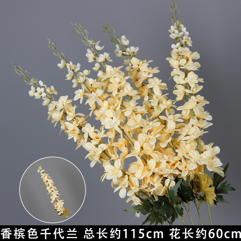 Champagne-colored Chiyono