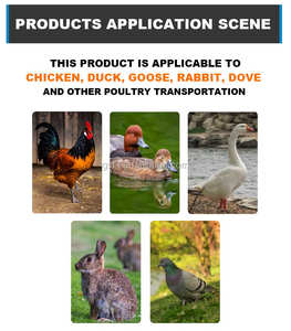 Usine pas cher prix plastique Transport poulet volaille Cage caisse boîte pour transport poussins canards oies - Product Image 5