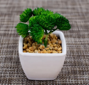 Barato de la fábrica al por mayor mini <span class=keywords><strong>cactus</strong></span> surtido interior decorativo artificial plantas suculentas macetas para laventa - Product Image 3