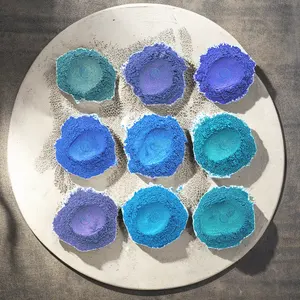 Poudre de caméléon de 12 couleurs bleues 10g/pot poudre de Mica de changement de couleur de mise à niveau pour Pigment de perle de résine époxy pour la fabrication de bougies de peinture