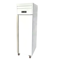 Congelador Comercial Vertical de Acero Inoxidable con Una Puerta y Enfriamiento por Aire para Bandejas GN