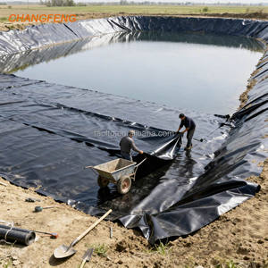 Toptan fiyat Hdpe geomembran yüzme havuzu güneş dayanıklı ve bahçe göletler Spirulina tarım rezervuar biyogaz için antioksidan - Product Image 5