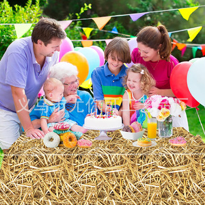 Straw <b>Tablecloth</b> <b>Rectangle</b> 137x274 Cm Digital Printing Plastic Sheet Birthday Party Decor Prop Cloth Disposable Cover - Product Image 2