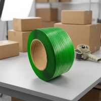 Cinta de Embalaje de PP de Alta Calidad, 12mm-13mm de Ancho, 0.5mm-0.9mm de Grosor, para Cajas de Cartón, Paletización, Logística y Embalaje