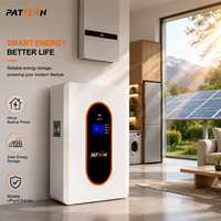 Batterie LiFePO4 murale PATTERN 25,6V 350Ah 8,96kWh, 6000 cycles, 80% DOD pour stockage d'énergie solaire domestique