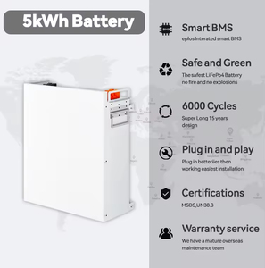 Batterie de stockage d'énergie solaire murale domestique LiFePo4 EMS SUNDANCE 48V 51.2V 100Ah 200Ah 314Ah, durée de vie de plus de 6000 cycles, 10 ans CAN - Product Image 3
