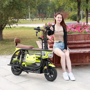 Bicicletta elettrica pieghevole da 12 pollici bici elettrica per animali domestici e shopping aowa bici elettrica