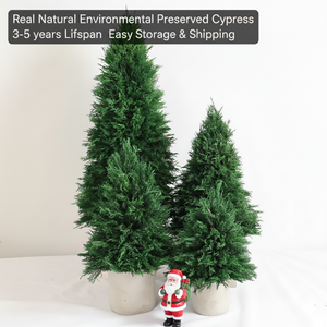 Nouvel <span class=keywords><strong>arbre</strong></span> <span class=keywords><strong>de</strong></span> Noël artificiel <span class=keywords><strong>de</strong></span> qualité supérieure <span class=keywords><strong>de</strong></span> 8 pouces avec <span class=keywords><strong>de</strong></span> vrais fleurs préservées pour <span class=keywords><strong>la</strong></span> décoration <span class=keywords><strong>de</strong></span> bureau intérieure - Product Image 1