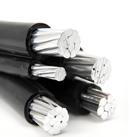 Venta al por mayor ABC Cable Conductor de aluminio XLPE PE LDPE PVC aislado Cable de caída superior Cobre Duplex Triplex Servicio Quadruplex