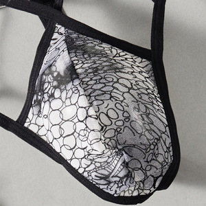 Tanga de encaje negro de talle bajo Ding Zhi Mei para hombre, ropa interior sexy para hombres gay, estilo tentación. - Product Image 3