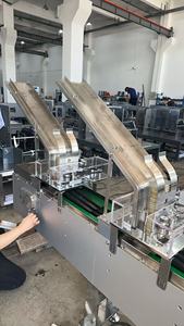 Machine d'emballage sous blister automatique à grande vitesse pour comprimés et capsules en aluminium-plastique - Product Image 6