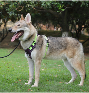 Arnés Reflectante Antipull para Perros con Soporte para <span class=keywords><strong>AirTag</strong></span>, Arnés Ajustable en Forma de Y Antiescape para Mascotas con Asa - Product Image 3