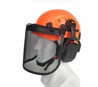 Casque de sécurité forestier professionnel ANT5PPE 4 en 1 avec écran facial en maille et protection auditive pour travaux avec tronçonneuse (EPI)