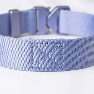 Collare per Animali Domestici Personalizzato, Resistente, Semplice, Imbottito, Regolabile in Poliestere per Cani e Gatti, per Passeggiate Quotidiane e Attività all'Aperto - Product Image 2