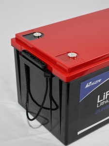 Harga Pabrik Baterai Lithium Iron 24 25.6V 200ah Daya Tahan 10 Tahun 24 Volt 25.6 Volt Lifepo4 Li Ion Baterai 100ah untuk Penyimpanan Energi - Product Image 5