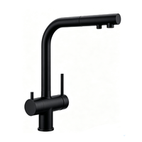 Robinet de cuisine d'hôtel noir mat à double poignée, avec filtre à eau, valve en céramique, corps en laiton rotatif, bec extractible