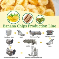 Bananenchipsmachine, plantainchipslijn, elektrische snijmachine, automatische frituurlijn, roestvrij staal, 100 kg/uur