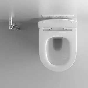 BTO China Sanitary Ware Wall Hung Toilet Wallhung Water Closet With Concealed Cistern Dual Flushing In Rimless Flushing