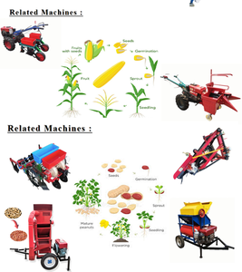 High Efficiency Commercial <b>Walking</b> Tractor Price Two Wheel Tractor <b>for</b> Wholesales - Product Image 5