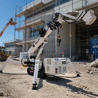 Mini-grue araignée de 12 tonnes avec service OEM/ODM personnalisé, directement de l'usine pour les acheteurs en gros et les commandes en vrac