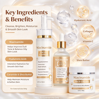 Coffrets de Soins Anti-Âge Luxueux OEM pour Adultes – Sérum Éclaircissant Naturel à la Niacinamide, Collagène et Acide Salicylique à Base de Plantes