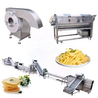 Kleine schaal 100kg/uur productielijn voor frites Automatische productielijn voor frites Machine voor de verwerking van diepvriesfrites