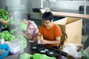 Đồ Dùng Làm Vườn Bình Tưới Cây Trong Nhà Ngoài Trời Cho Trẻ Em Bình Tưới Nước PE <span class=keywords><strong>500Ml</strong></span> Bình Xịt Cầm Tay Cho Trẻ Em - Product Image 6