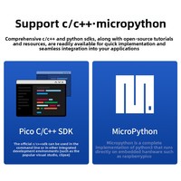 Kit de Programación MicroPython para la Placa de Desarrollo Raspberry Pi Pico 2