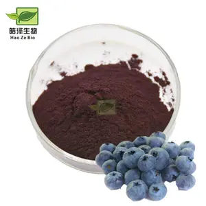 Anti-aging bilberry extract capsules and 25% European bilberry extract powder