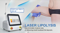 Machine de liposuccion Vaser Endolaser Lifting du visage 980nm Diode Laser Body Slimming Machine