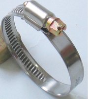 Fabricant Direct Din 3017 Allemagne Type Colliers de serrage en acier inoxydable Traitement de surface poli