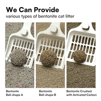 Litière pour chat en gros à base de bentonite de sodium et charbon actif, sans poussière, agglomérante, marque privée, parfumée, anti-odeur, Arena Para Gato